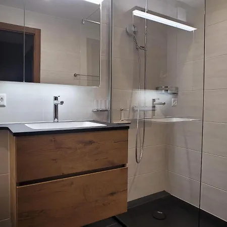 App- 20a Ramuge By Interhome * Veysonnaz